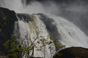 kerala
