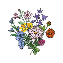 Wildflowers bouquet. Hand drawn vector illustration for your design.
