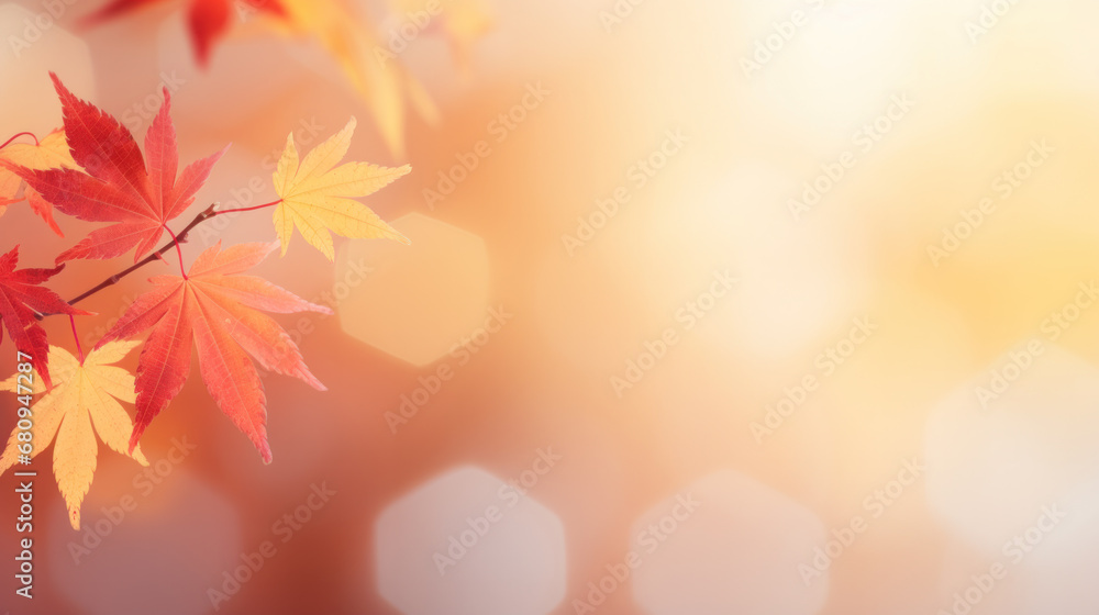 Poster autumn background with shadow of the maple tree leaves on a wall. abstract autumnal scene.