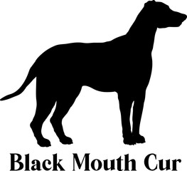 Black Mouth Cur Dog silhouette dog breeds logo dog monogram logo dog face vector
SVG