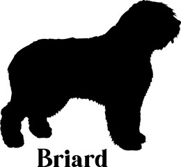Briard Dog silhouette dog breeds logo dog monogram logo dog face vector
SVG