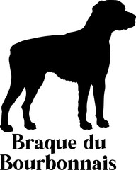 Braque du Bourbonnais Dog silhouette dog breeds logo dog monogram logo dog face vector
SVG