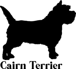 Cairn Terrier Dog silhouette dog breeds logo dog monogram logo dog face vector
SVG
