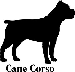 Cane Corso Dog silhouette dog breeds logo dog monogram logo dog face vector
SVG