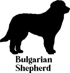 Bulgarian Shepherd Dog silhouette dog breeds logo dog monogram logo dog face vector
SVG