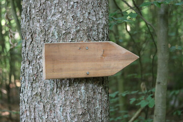 wooden arrow on a tree, signpost, space for text, right,