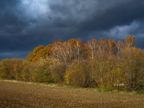 Bäume im Herbst vor dunklem Himmel