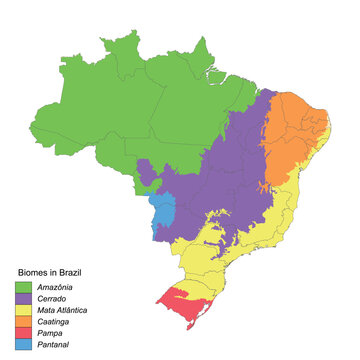 Map of biomes in Brazil, six terrestrial biomes