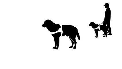 Guide dog, blind people, labrador