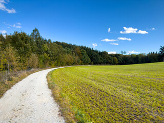 Gravel Road along a Bavarian forest with green meadow at the right side and autumn colored forest at the other side 