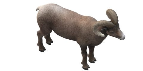 Ram isolated on a Transparent Background