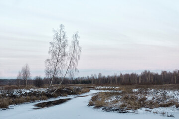 Winter landscape with a birch on the shore of the river.