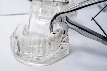 Fototapeta na wymiar Dentist equipment and tools