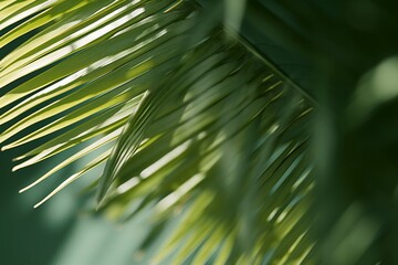 Stylish background for presentation. Palm leaf on a green surface with shadow. generative ai.