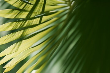 Stylish background for presentation. Palm leaf on a green surface with shadow. generative ai.