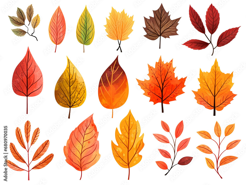 Wall mural collection set of hand-drawn leaves isolated on transparent or white background, png