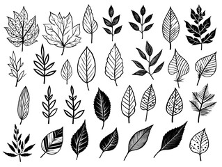 Collection set of ink leaves isolated on transparent or white background, png - obrazy, fototapety, plakaty