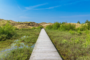 Obraz premium Landschaft in den Dünen bei Norddorf auf der Insel Amrum