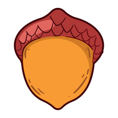 autumn acorn illustration
