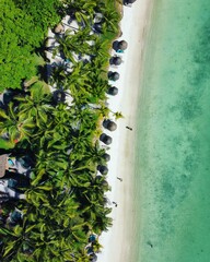 trou aux biches Mauritius