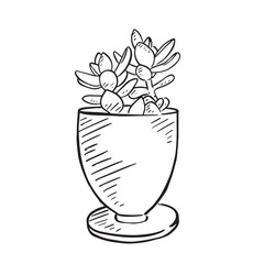 A simple line drawing of a cactus in a pot. 