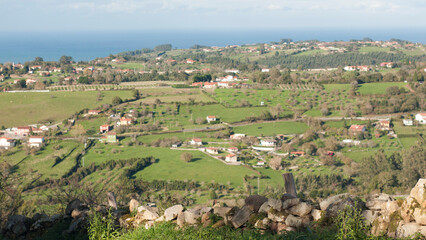 Fototapeta na wymiar Casas en valle verde junto al horizonte marino