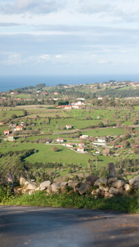 Casas en valle verde junto al horizonte marino