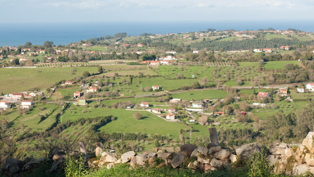 Casas en valle verde junto al horizonte marino