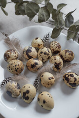 Quail eggs on a white plate decorated with quail feathers