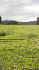 Agujero en alambrada de finca rural