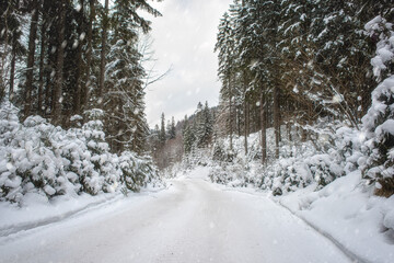 Winter mountain landscape with snowy extreme forest road in the Carpathian mountains, outdoor travel and transportation background
