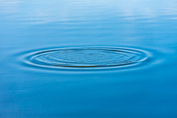 Diverging circles on the water surface of the lake. Outdoors.