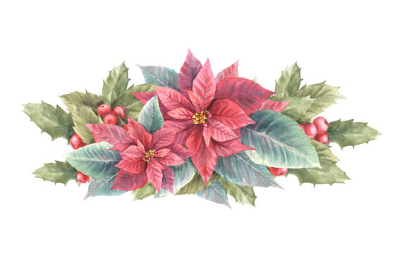 Watercolor painted composition of red poinsettia, holly leaves, berries Illustration Christmas and New Year plant symbol for your card design, winter holiday celebrate decor. Isolated white background