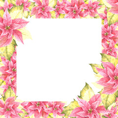 Watercolor painted square frame of pink yellow Poinsettia, Pulcherrima flowers and leaves. Traditional plant for Christmas or New Year card, winter holiday celebrate print. Isolated white background