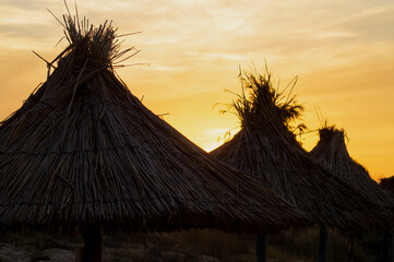 Sunset over thatched beach umbrellas