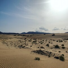 Sand dunes - Fuerteventura
