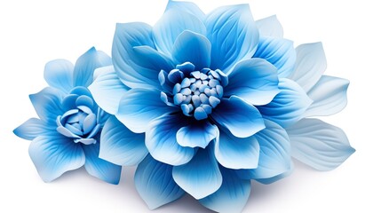 Bright blue flower art isolated on white background. watercolor illustration. Watercolor painting of a beautiful colorful dahlia flower.