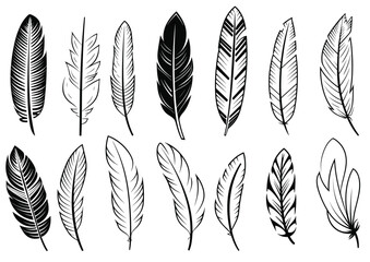 Black and White Feather Set, hand drawn style, vector illustration.