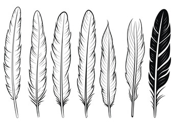 Vector Black and White Feather Set, hand drawn style, vector illustration.