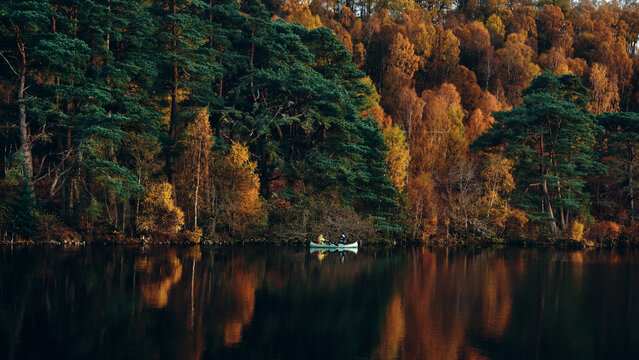 lake in autumn