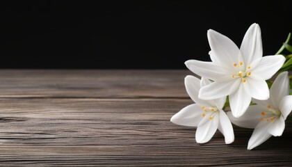 Fototapeta na wymiar White Lilies on Wooden Table with Black Background