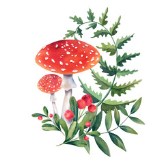 Fly agaric. Useful mushrooms. Watercolor illustration on an isolated background. Forest plants. Autumn forest.