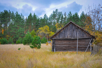 Autumn rural landscape with fence, field, forest and house. Quality image for your project