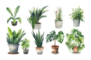 Watercolor flowerpot collection. Home plants vector illustration. - obrazy, fototapety, plakaty