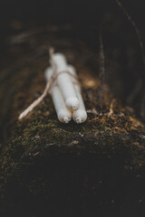 Three white candles tied with twine on a background of nature