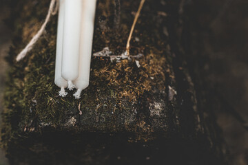 Three white candles tied with twine on a background of nature