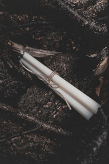 Three white candles tied with twine on a background of nature