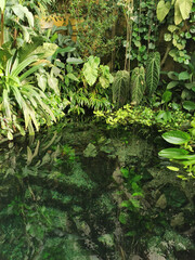 tropical green jungle