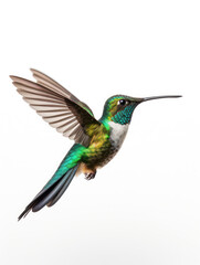 Fototapeta premium Hummingbird Studio Shot Isolated on Clear White Background, Generative AI