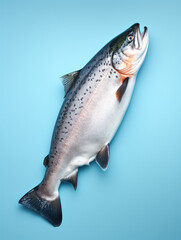 Obraz premium Salmon Studio Shot Isolated on Clear White Background, Generative AI